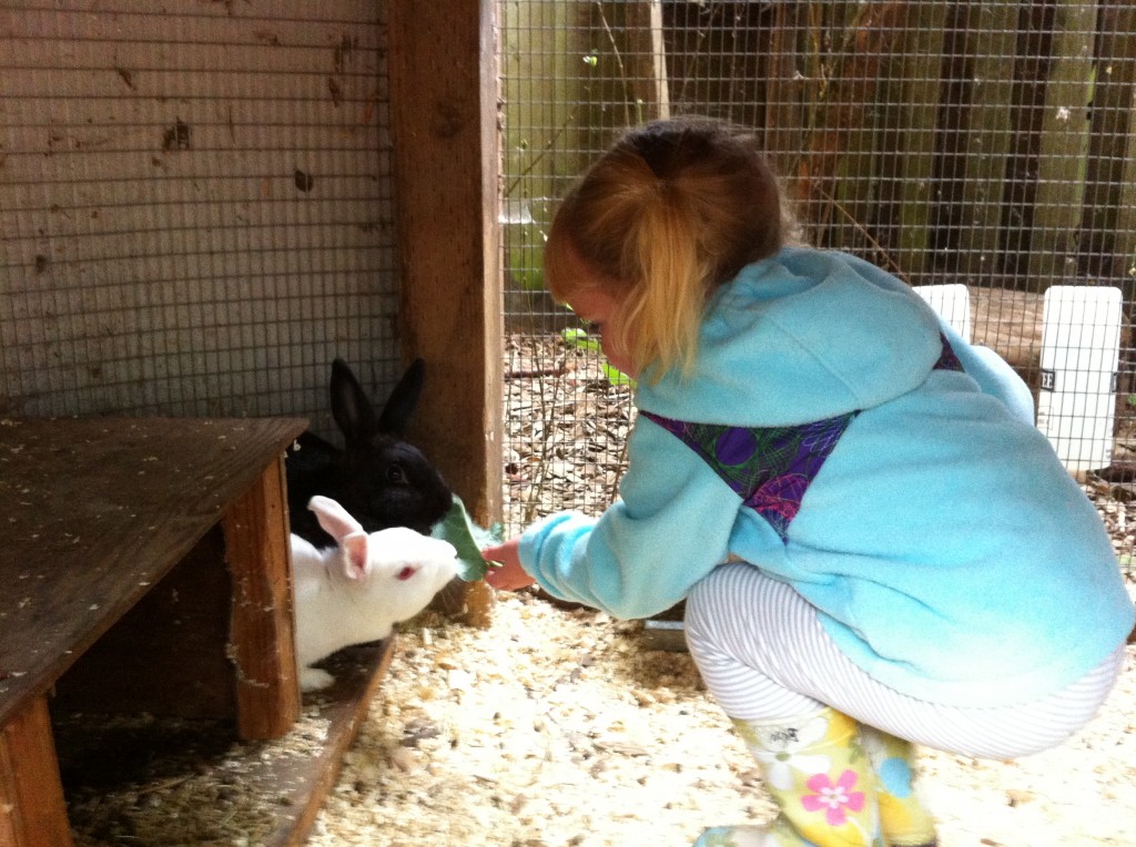 Violet Garden Preschool bunnies